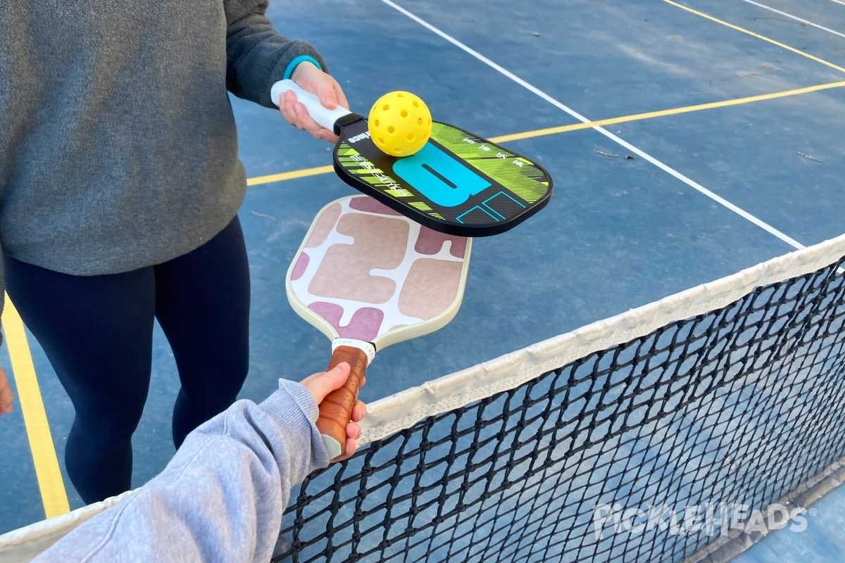 Photo of Pickleball at Saint Germain Park